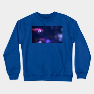 Tiny Starfish Crewneck Sweatshirt